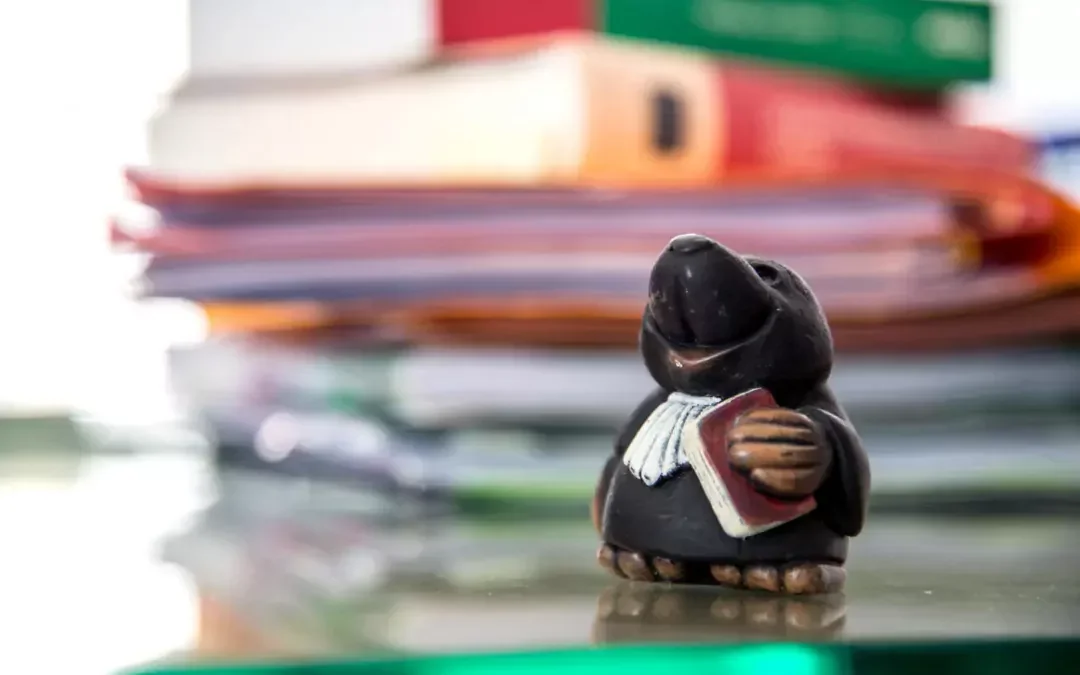 Cécile Zakine bureau avocat