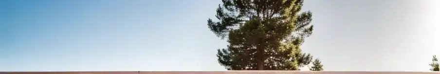 Vue illustration de sophia antipolis et de sa nature