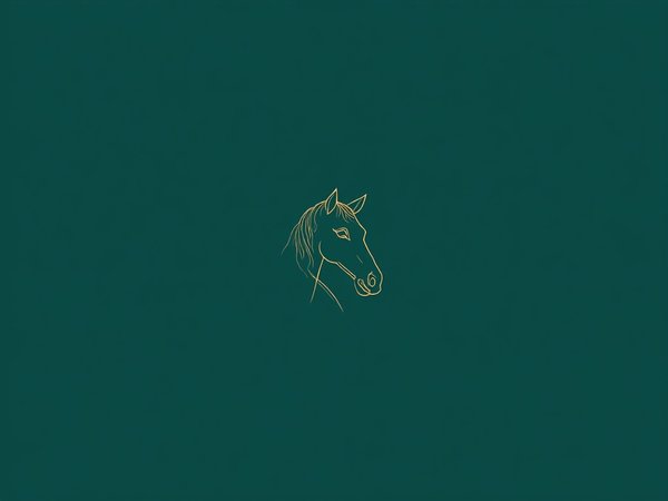 Balade thérapeutique à cheval Landes - Caroline Faucouneau, Landes & Pays Basque