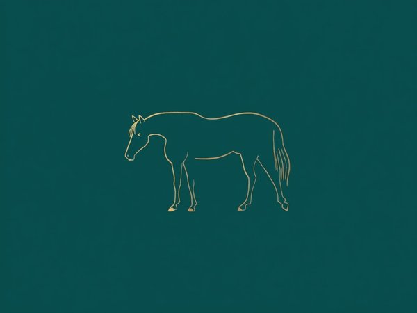 Cheval médiateur gestion stress à Guéthary - Caroline Faucouneau, Landes & Pays Basque
